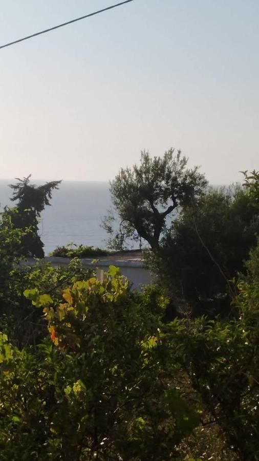 Vlorë Mullaj Guest House מראה חיצוני תמונה
